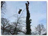 IMG_0325